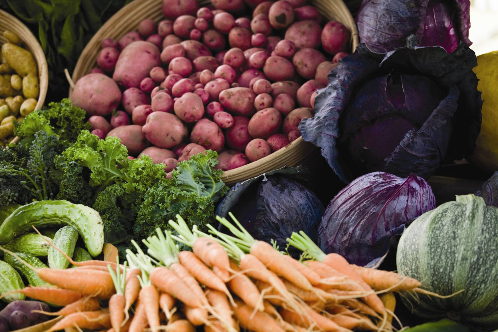 Eating Organic Food items – Do They Actually Give Rewards?