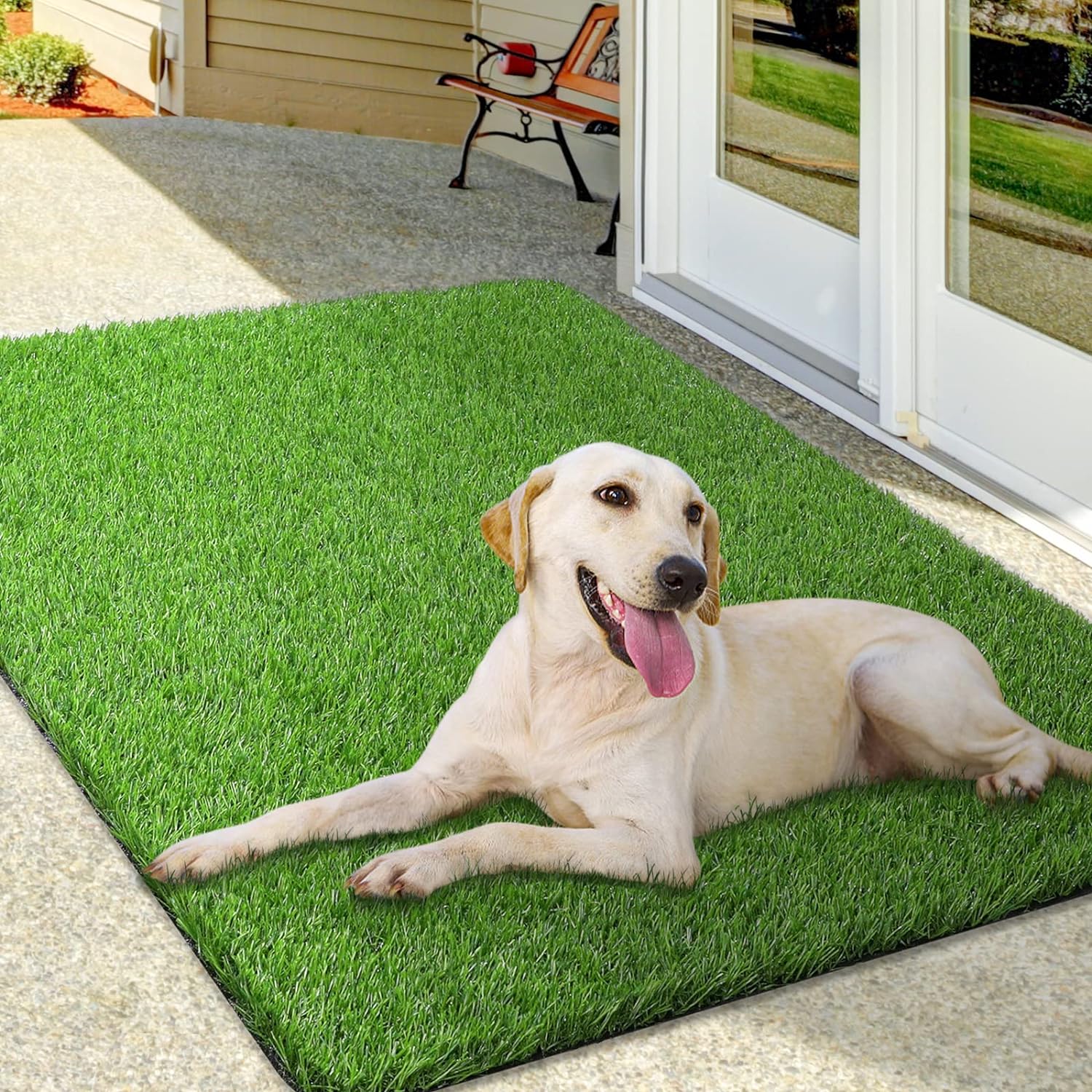Fake Grass