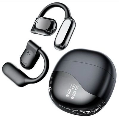 Translation  Ear Buds